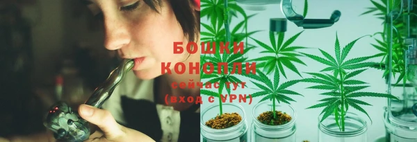 сатива Нефтекумск