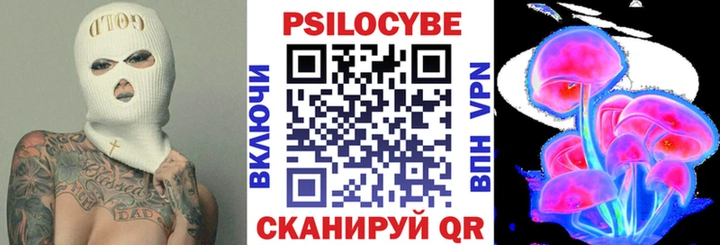 Галлюциногенные грибы GOLDEN TEACHER  Гурьевск 